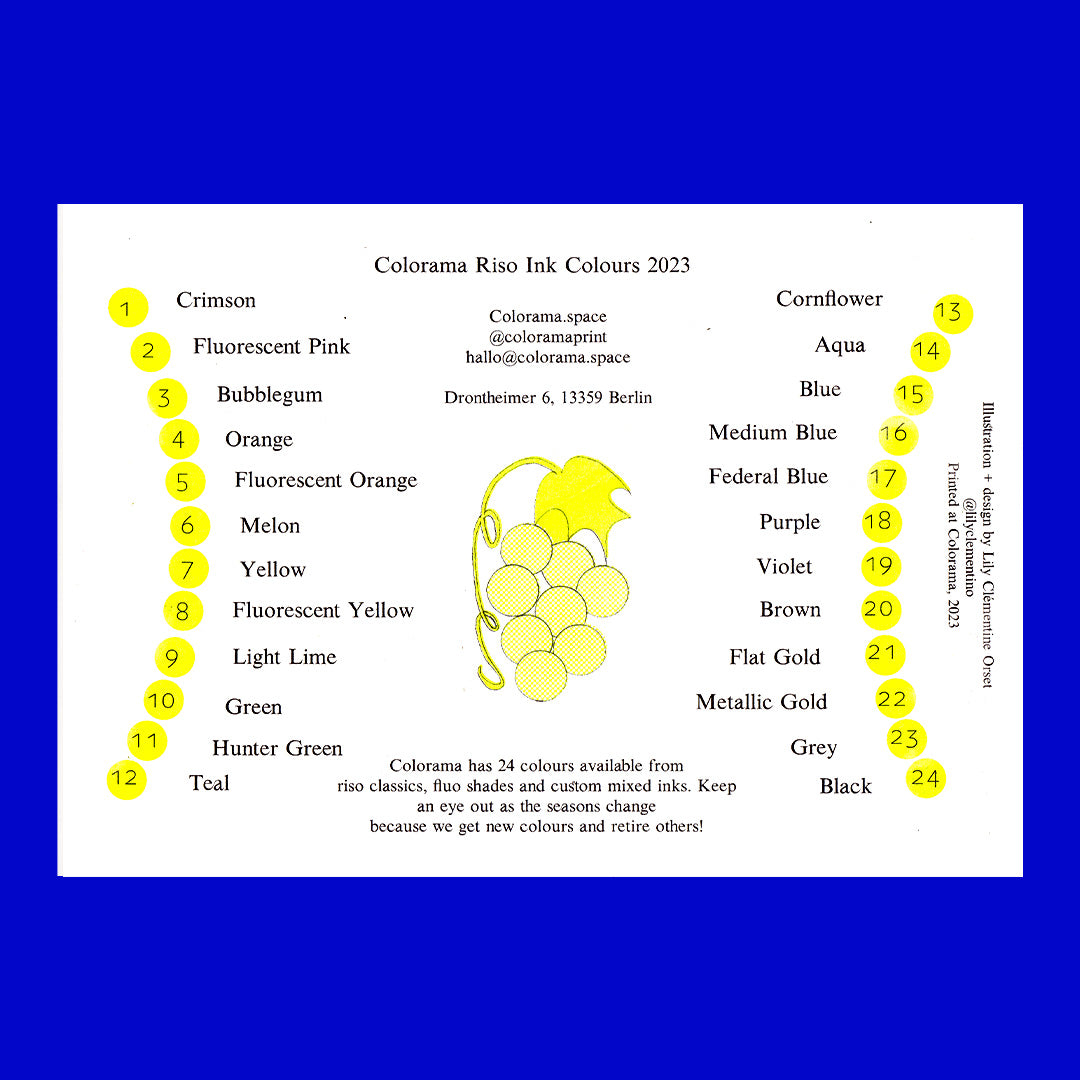 Colorsheet Fruit Basket