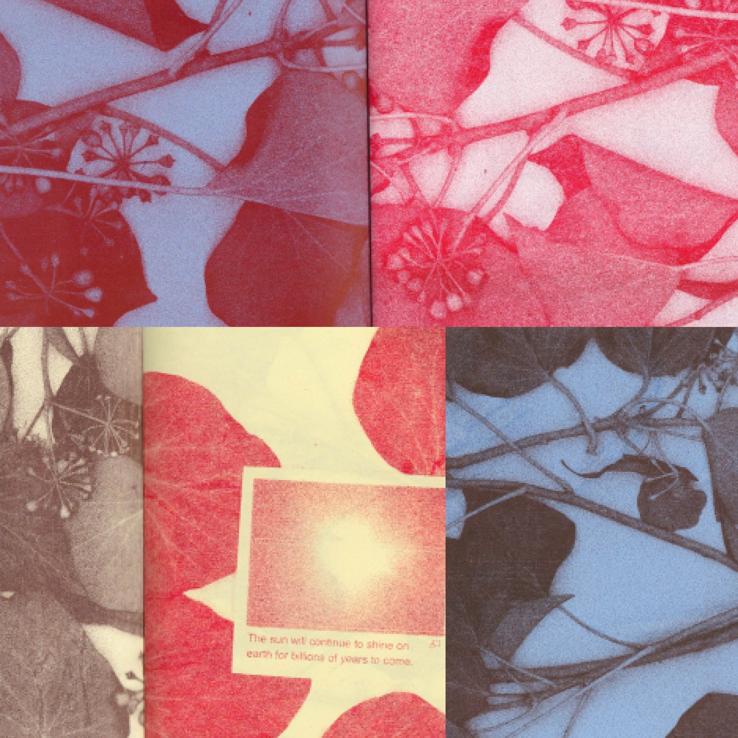 Poster-Zine: Autumn Scanning