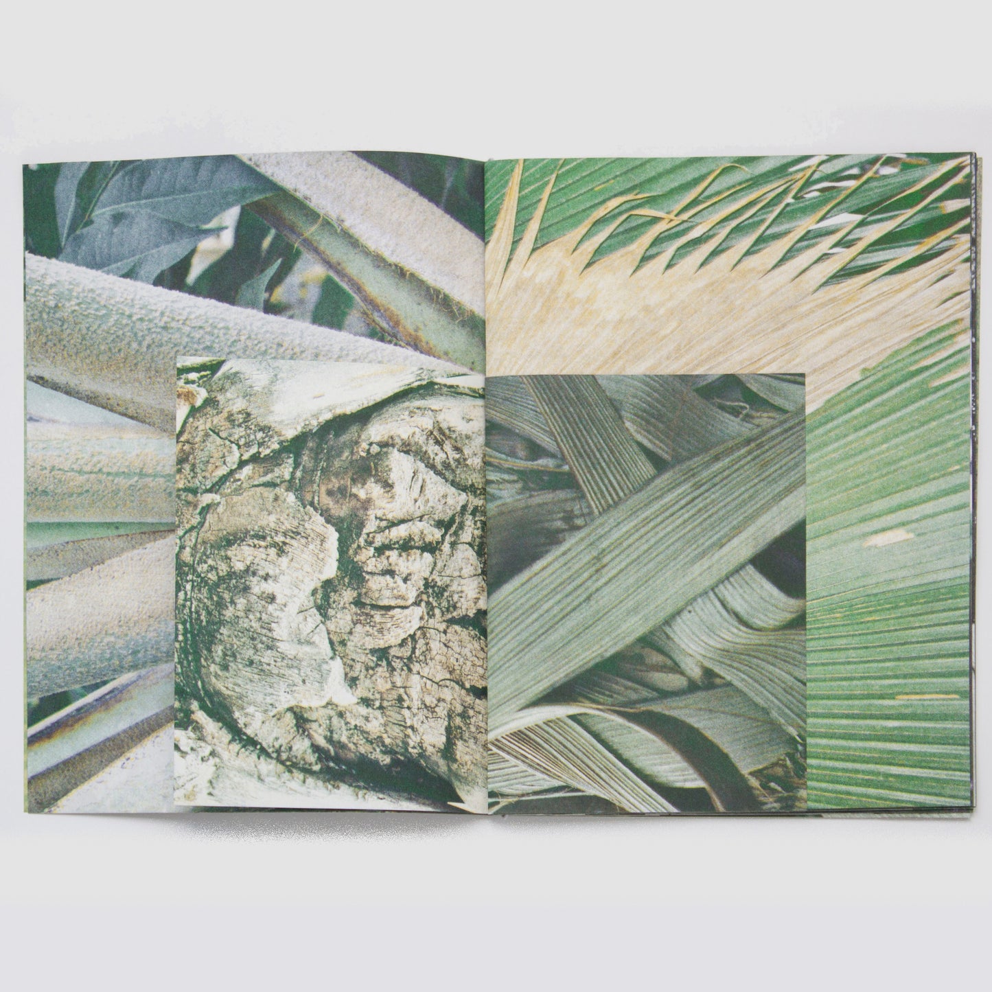 PALMERAL