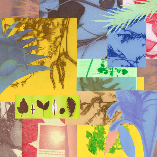Riso-printing: Autumn Scanning