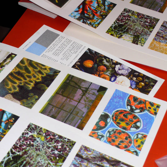 Riso-printing: Faux CMYK & custom color profiles